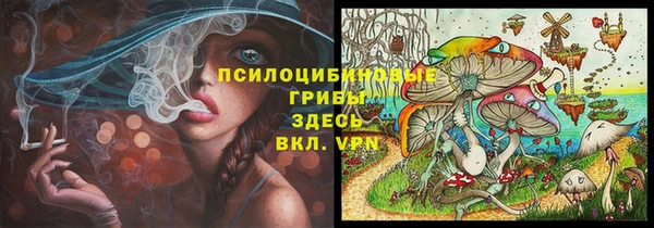 прущие крисы Снежногорск