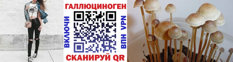 Купить где  Владикавказ  Галлюциногенные грибы мицелий 