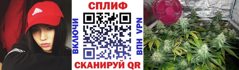 Конопля Amnesia  Купить  Владикавказ 